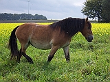 Bild 021